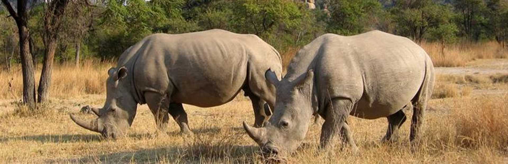 Matobo National Park